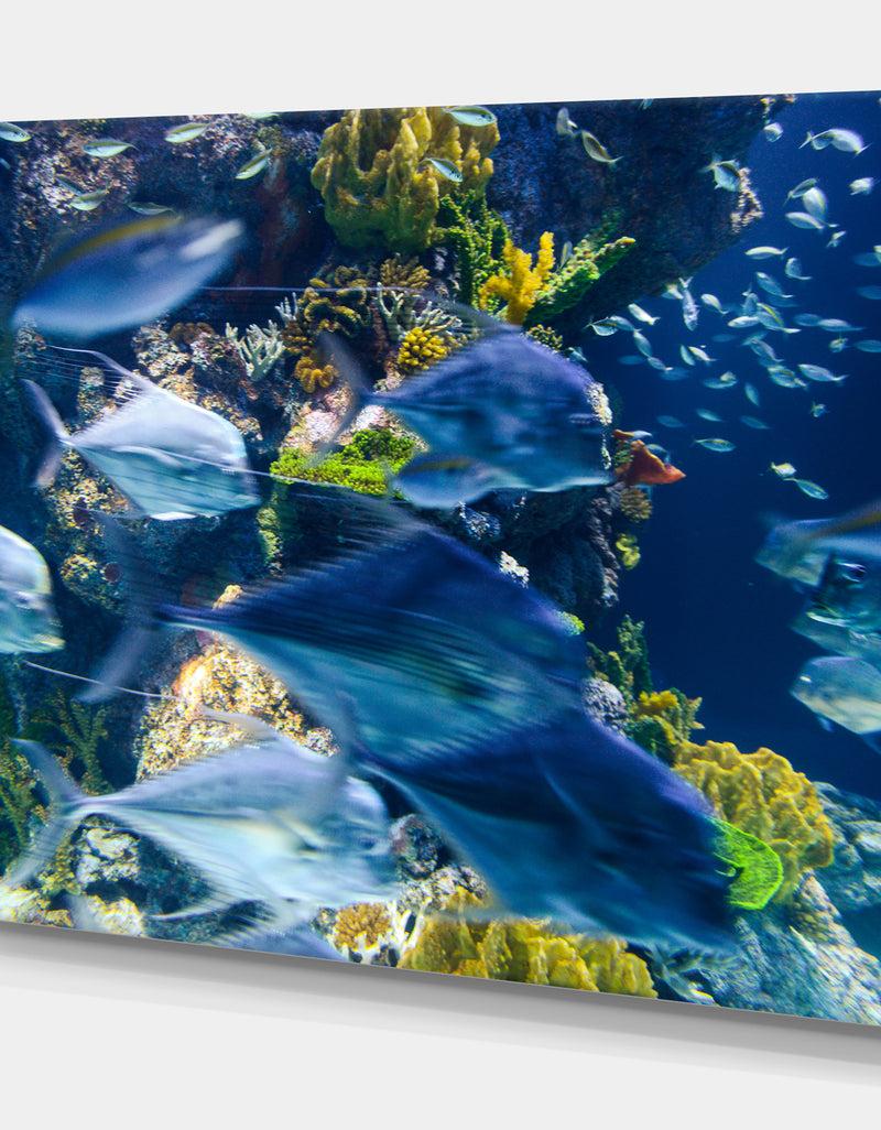 Designq Coral Reef Blur In Motion - Sea & Shore Nautical Photographic On Wrapped Canvas