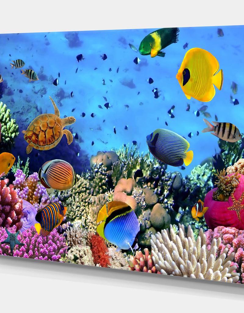 Designq Coral Reef Coral Colony - Sea & Shore Nautical Photographic On Wrapped Canvas