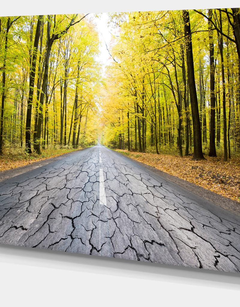 Designq Cracked Road In The Forest - Extra Large Landscape Canvas Art Print