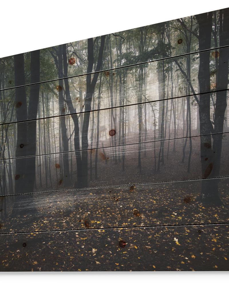 Designq Dark Spooky Misty Wild Forest - Forest Print On Natural Pine Wood