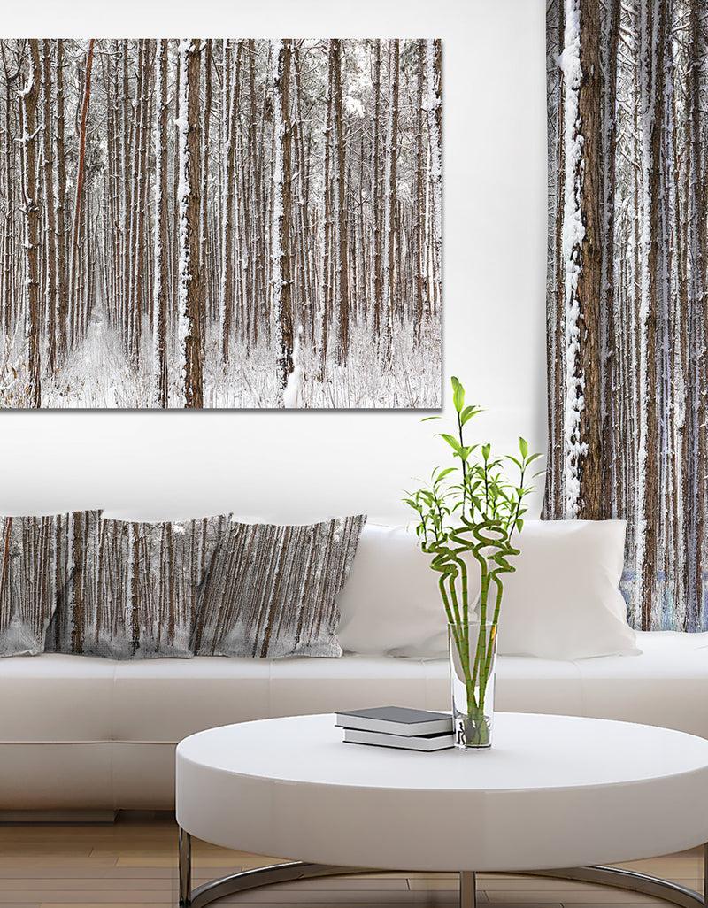 designq Dense Pine Forest in Winter - Large Landscape Canvas Art Print