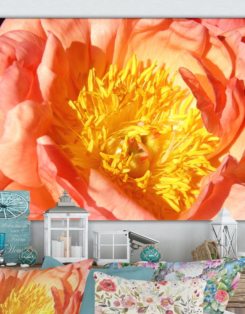 designq Peony - Cottage Canvas Wall Art