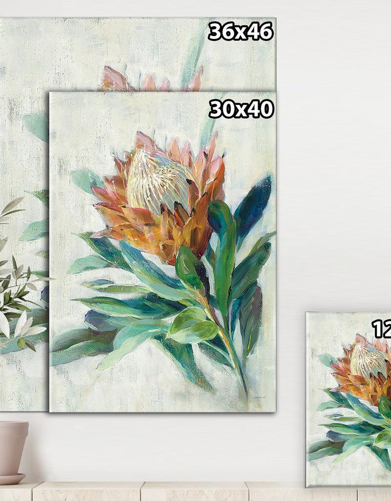 Designq RW Protea - Cottage Canvas Wall Art