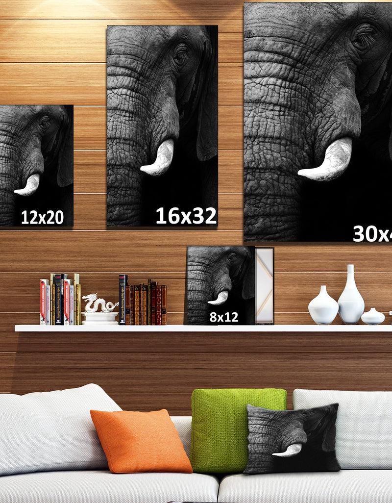 Designq Elephant Head Close Up - Africa Animals Photography On Wrapped Canvas