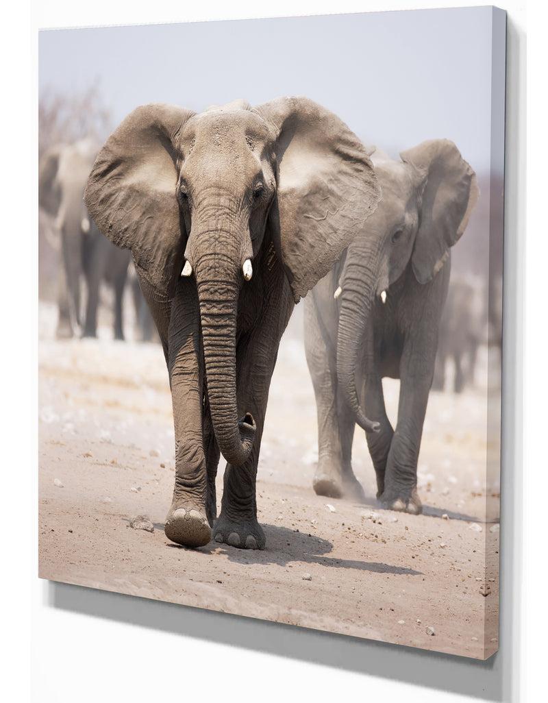 Designq Elephant Herd - Africa Animals Photography On Wrapped Canvas