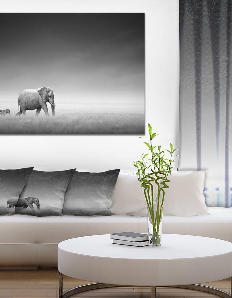 designq Elephant with Small Zebra - Africa Animals Photography on Wrapped Canvas
