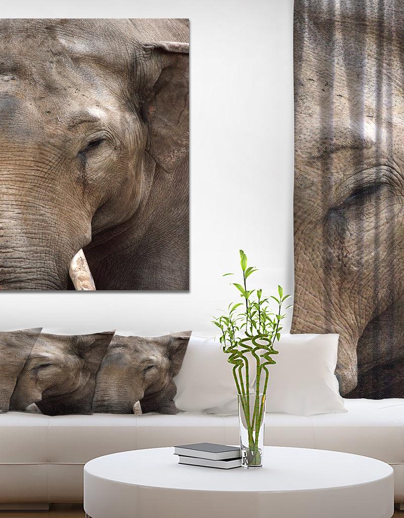 designq Emotional Elephant in close up - Africa Animals photography on Wrapped Canvas