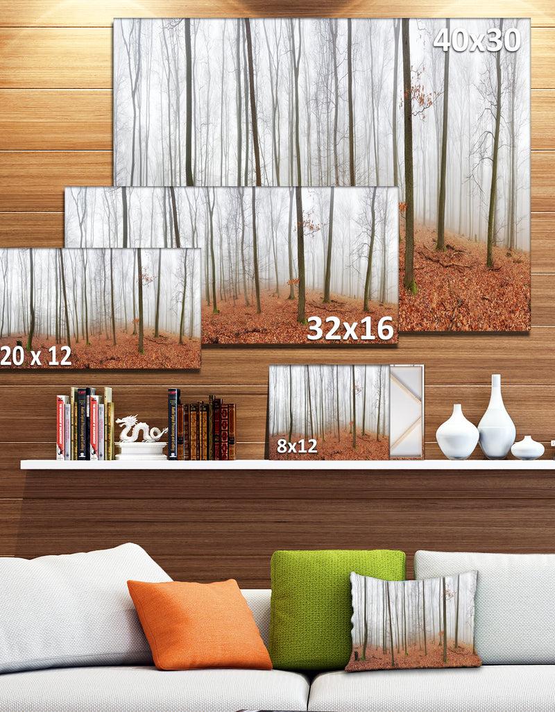 Designq Fall Forest With Trees At Mist - Oversized Forest Canvas Artwork