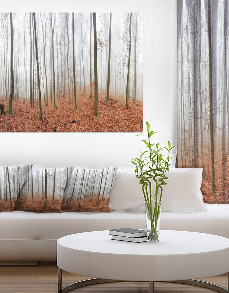 designq Fall Forest with Trees at Mist - Oversized Forest Canvas Artwork