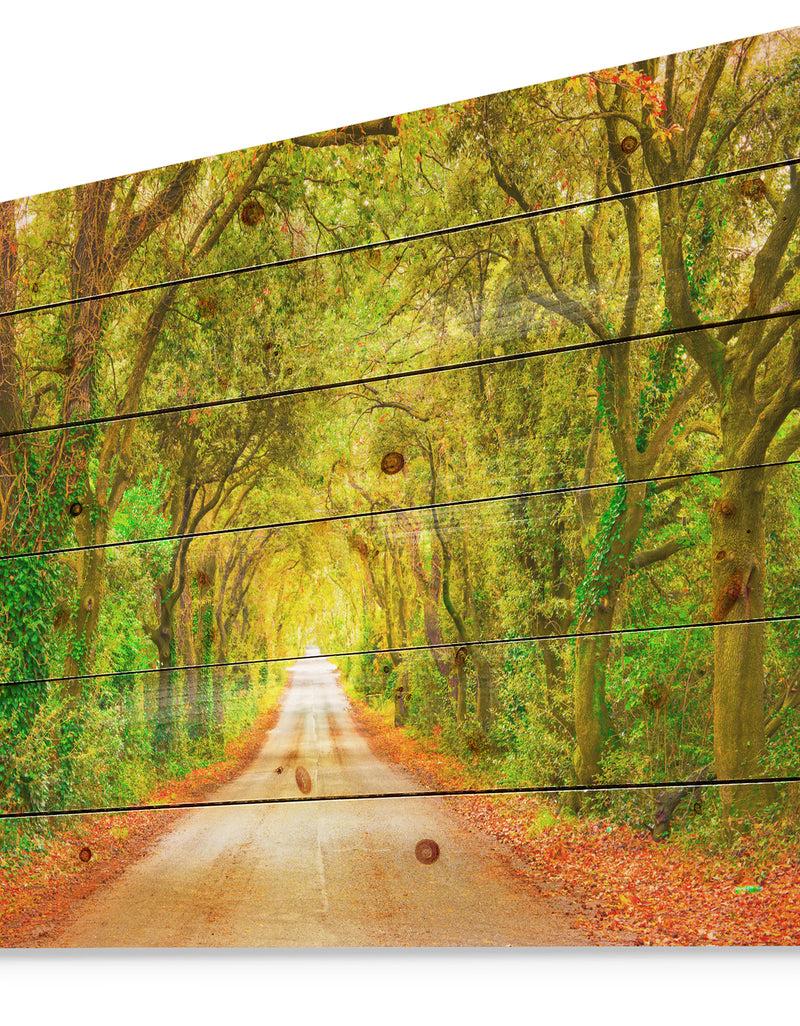 Designq Fall Greenery And Road Straight Ahead - Forest Print On Natural Pine Wood