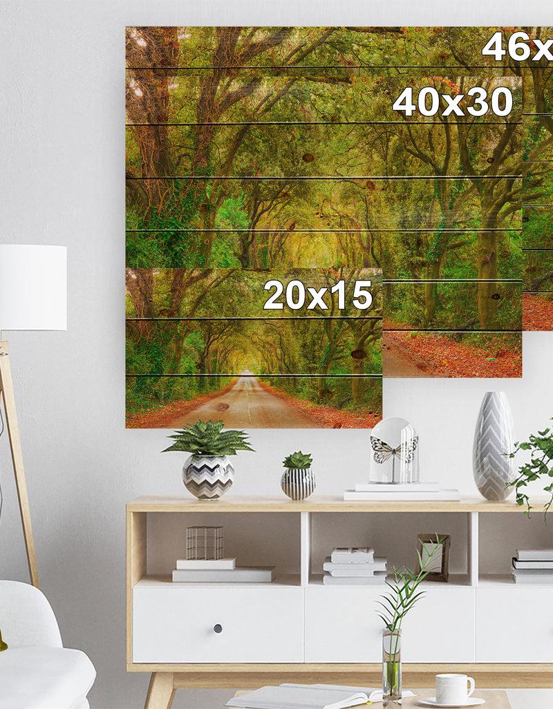 Designq Fall Greenery And Road Straight Ahead - Forest Print On Natural Pine Wood