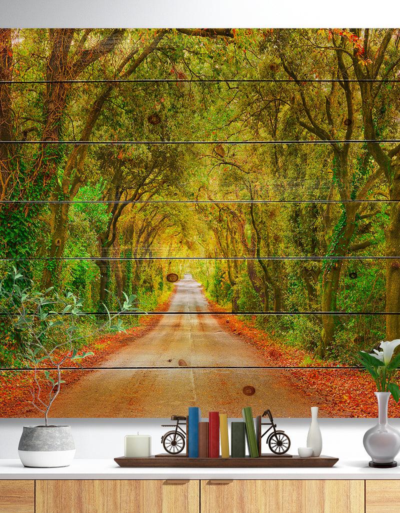 designq Fall Greenery and Road Straight Ahead - Forest Print on Natural Pine Wood