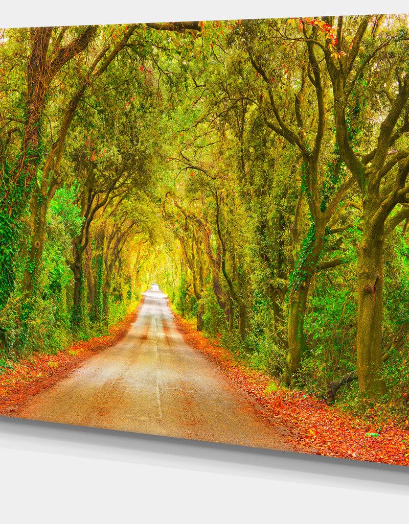 Designq Fall Greenery And Road Straight Ahead - Oversized Forest Canvas Art
