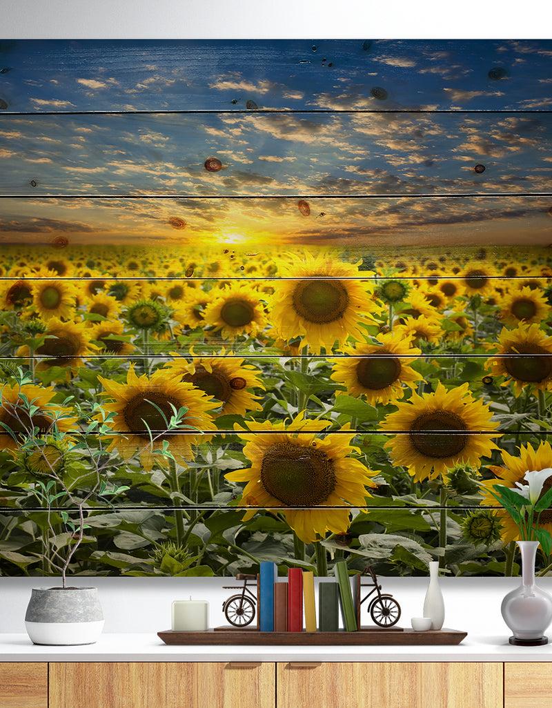 designq Field of Blooming Sunflowers - Flower Print on Natural Pine Wood