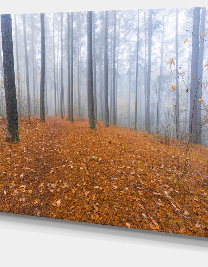 Designq Foggy Forest And Fallen Leaves - Modern Forest Canvas Art