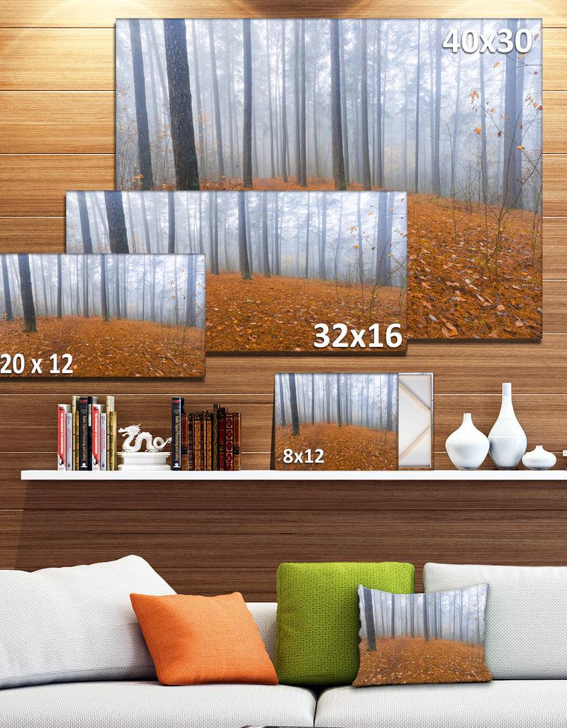 Designq Foggy Forest And Fallen Leaves - Modern Forest Canvas Art