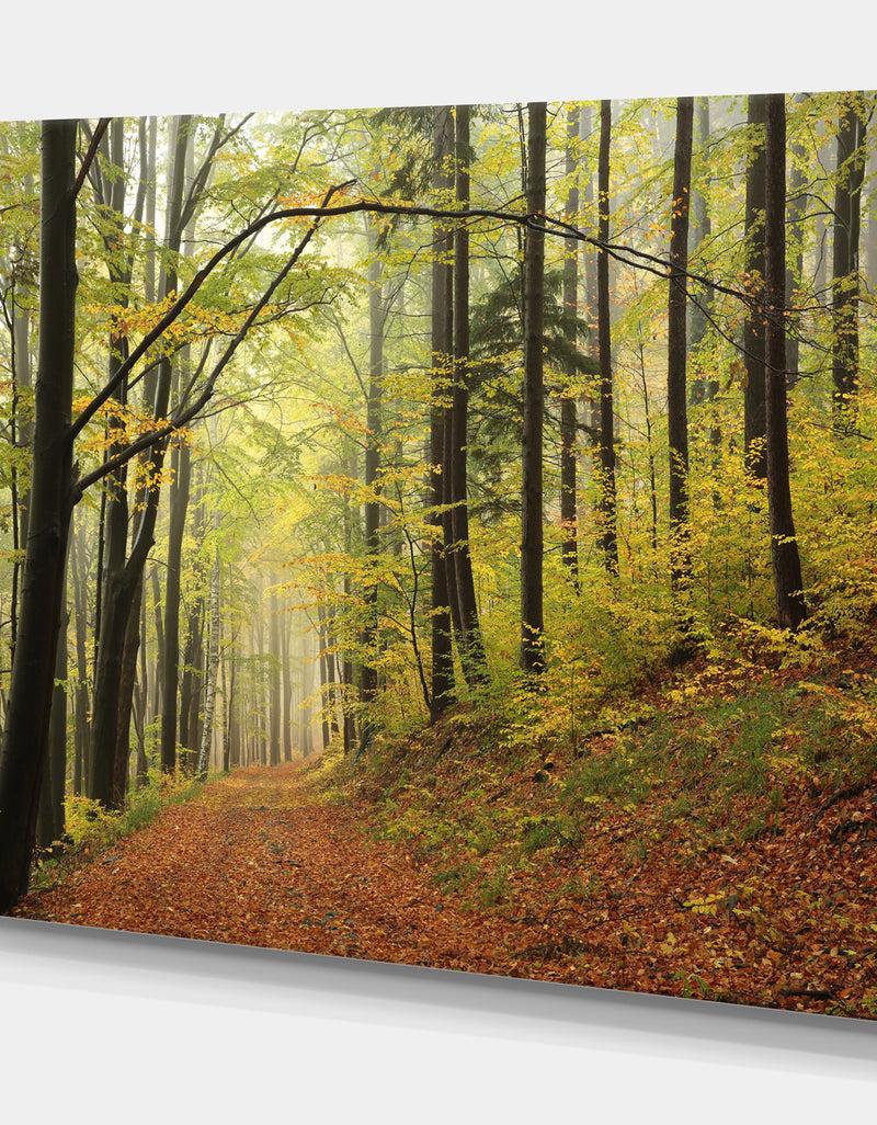 Designq Forest Trail In The Fog - Forest Landscapes Photographic On Wrapped Canvas