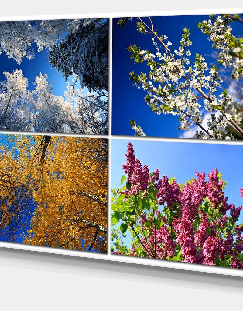 Designq Four Seasons Of Nature Collage - Large Landscape Canvas Art Print