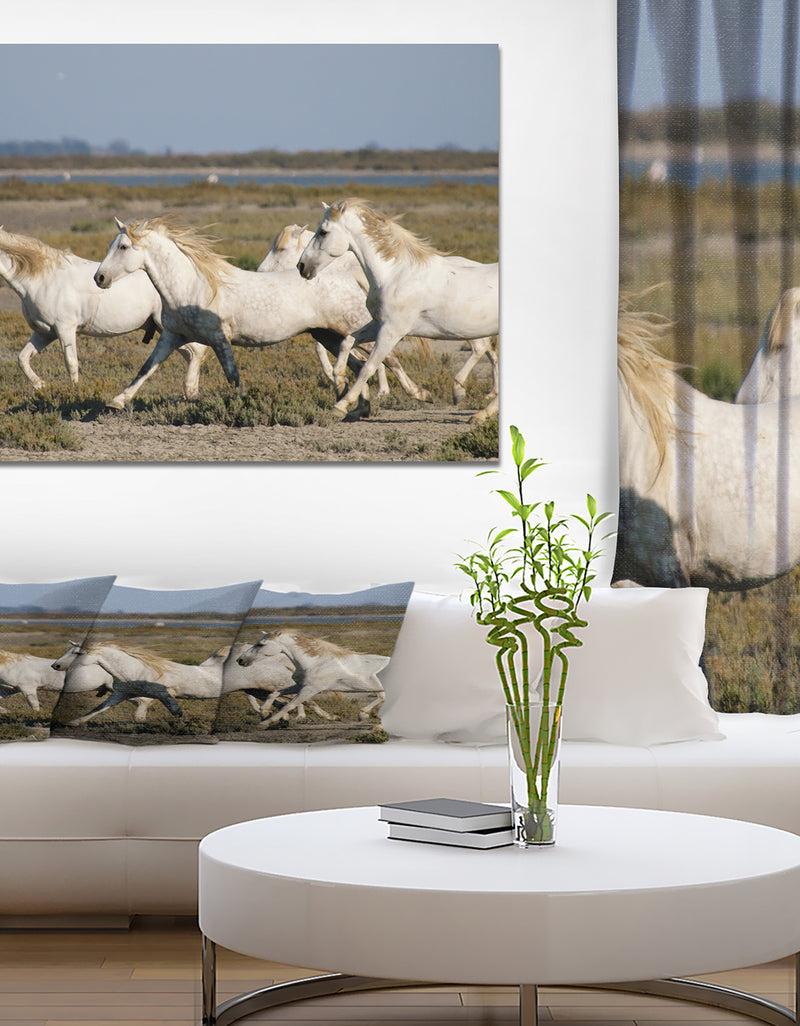 designq France Galloping White Horse - Farmhouse Animals Photographic on wrapped Canvas