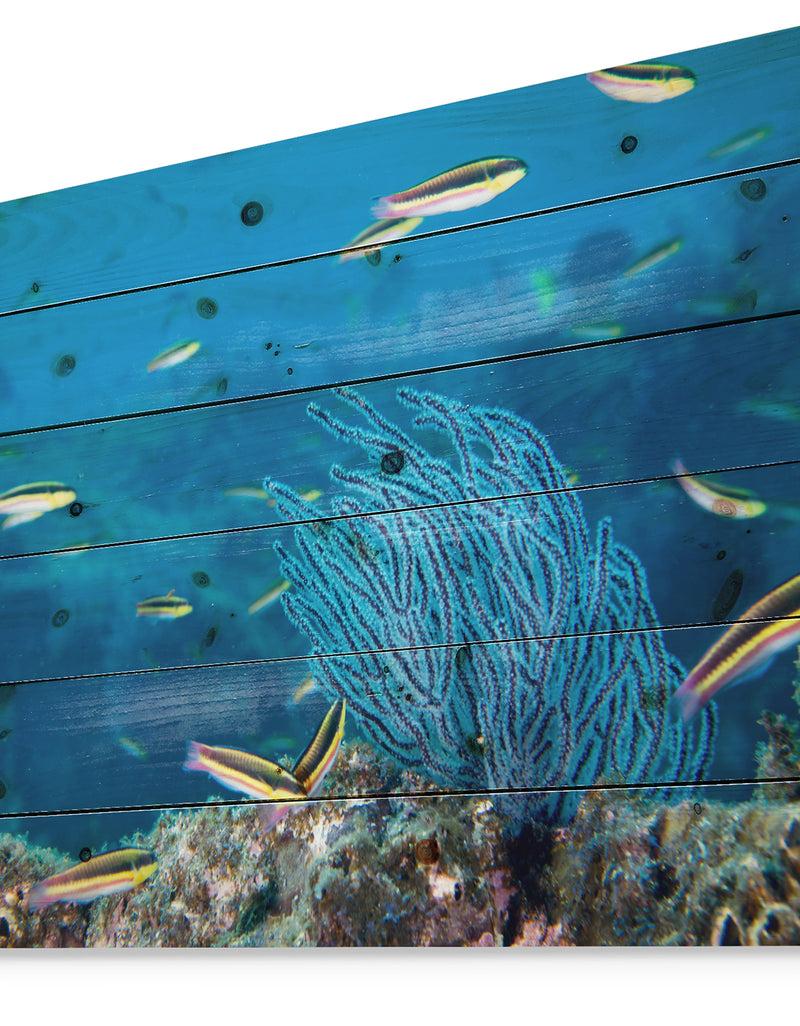 Designq Gorgonia Coral On The Deep Blue Ocean - Sea & Shore Nautical Print On Natural Pine Wood