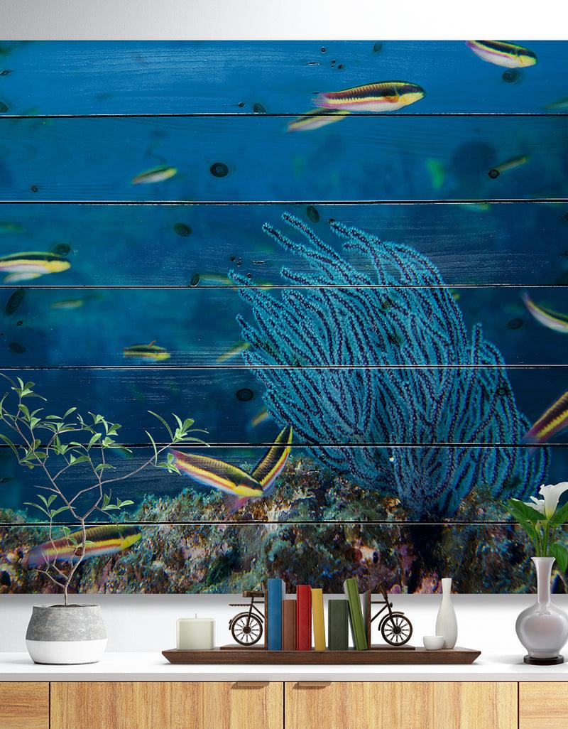 designq Gorgonia coral on the deep blue ocean - Sea & Shore Nautical Print on Natural Pine Wood