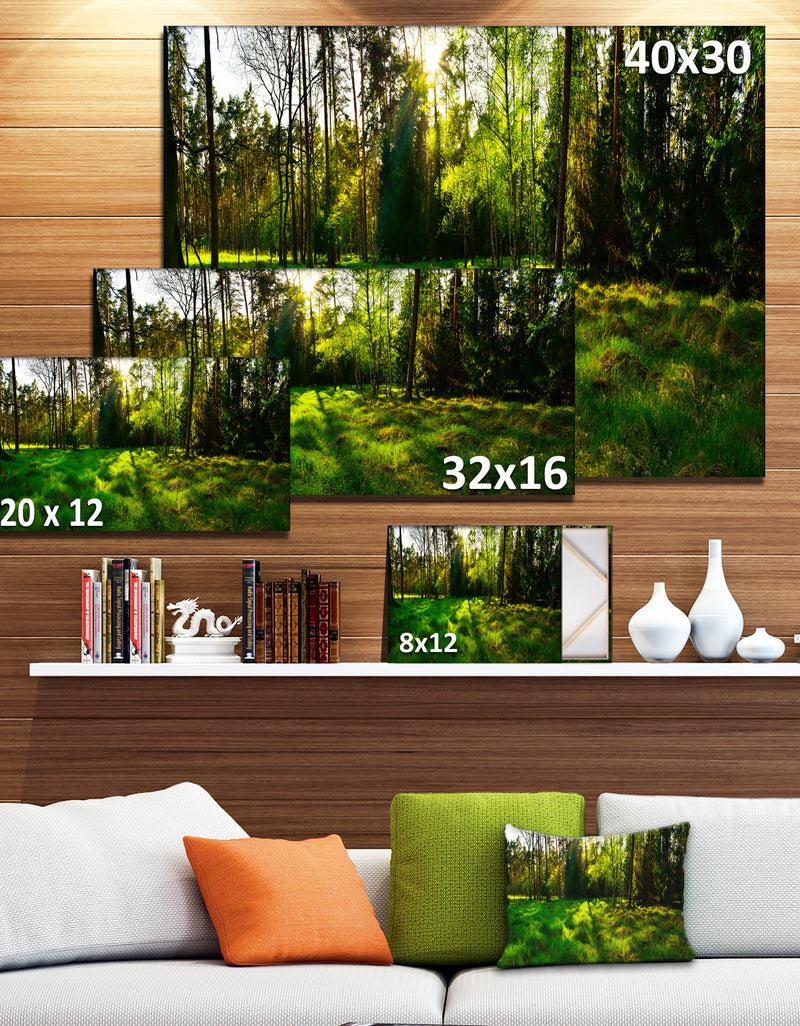Designq Green Forest Sunset Panorama - Landscape Artwork Canvas