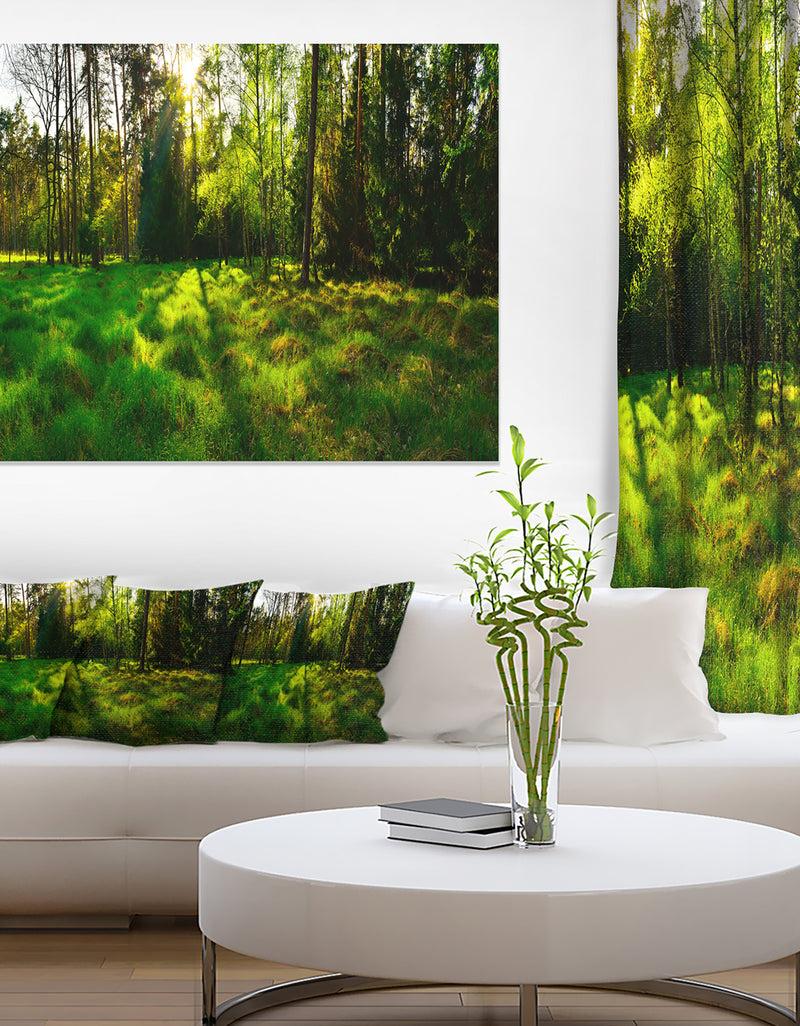 designq Green Forest Sunset Panorama - Landscape Artwork Canvas