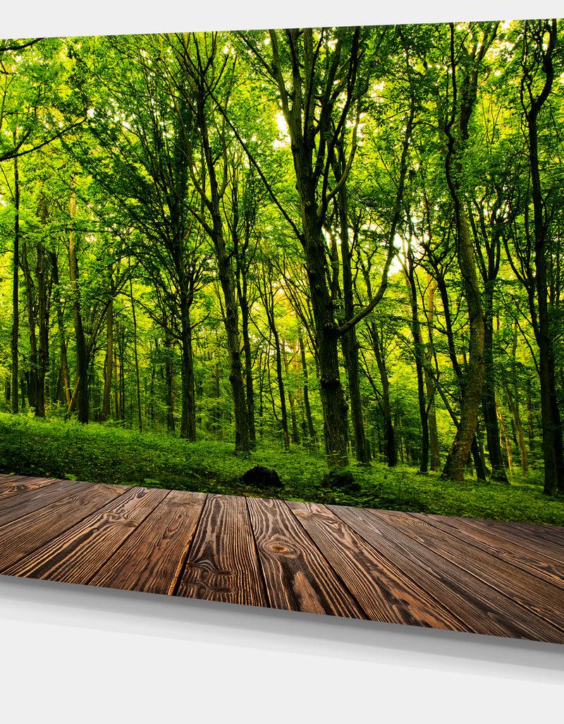 Designq Green Forest With Dense Woods - Landscape Large Canvas Art Print