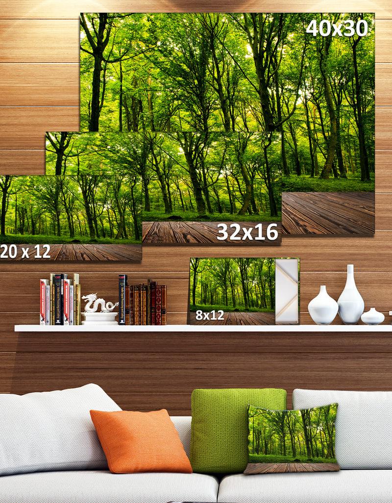 Designq Green Forest With Dense Woods - Landscape Large Canvas Art Print