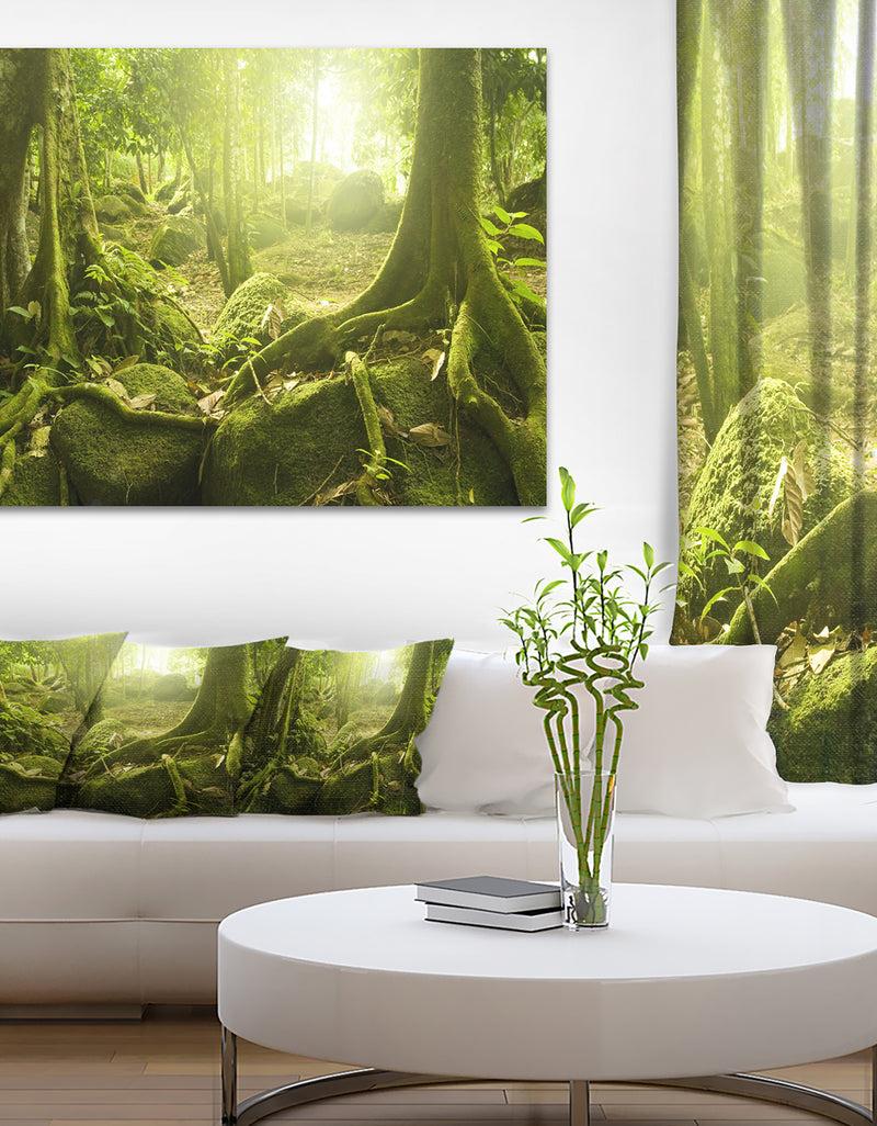 designq Green Forest with Sun - Landscape Photo Canvas Print