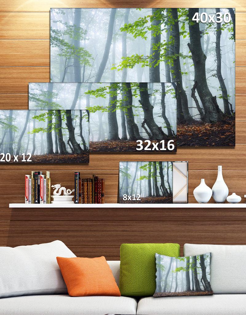 Designq Green Leaves In Old Forest - Landscape Photo Canvas Print