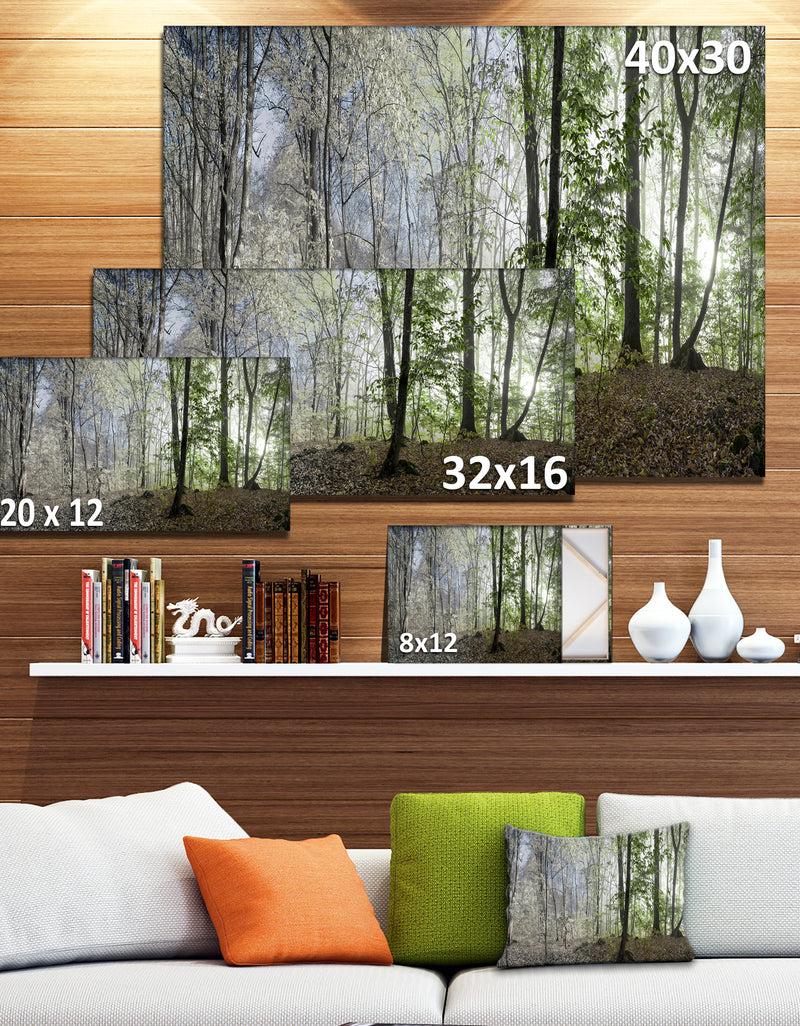 Designq Green Morning In Forest Panorama - Landscape Large Canvas Art Print