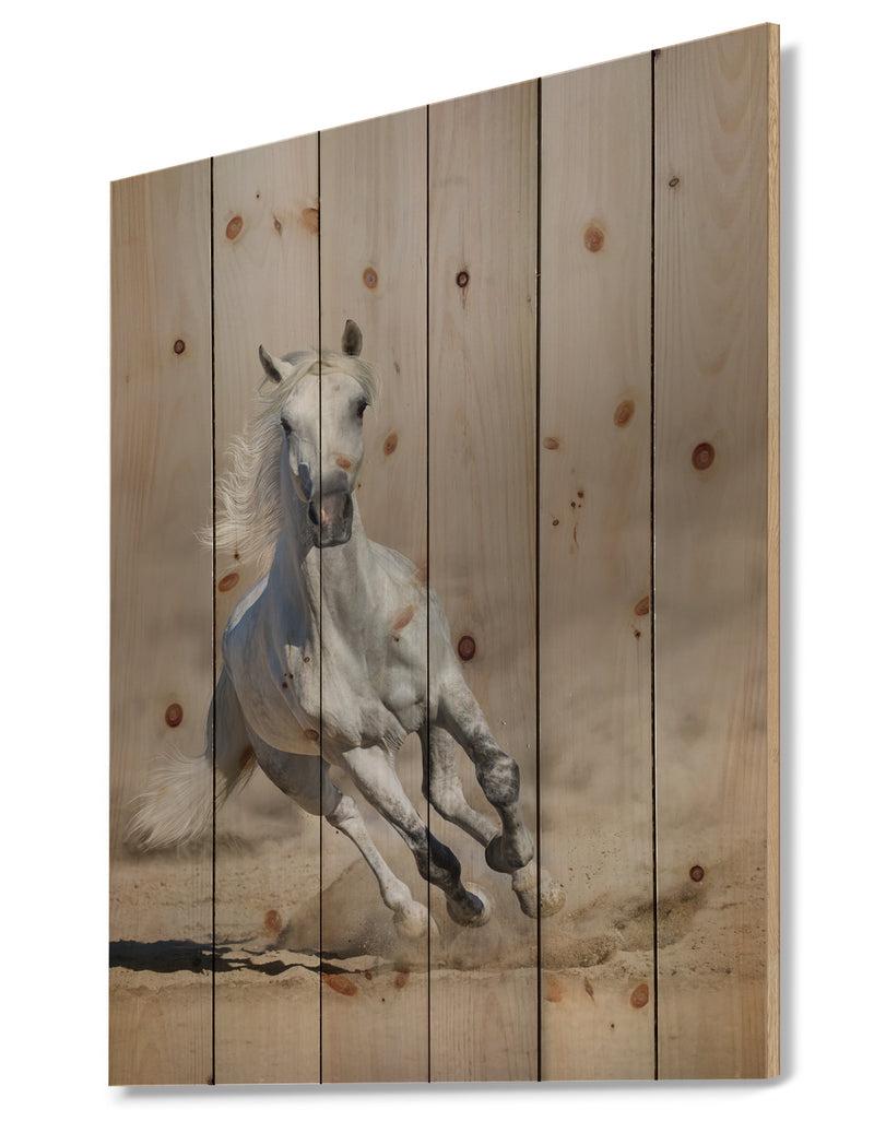 Designq Grey Arabian Horse Run In Dust - Animals PhotographyPrint Print On Natural Pine Wood