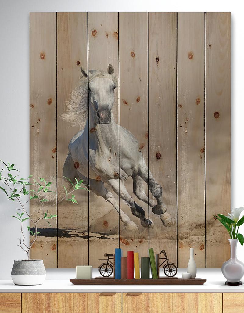 designq Grey arabian horse run in dust - Animals photographyPrint Print on Natural Pine Wood