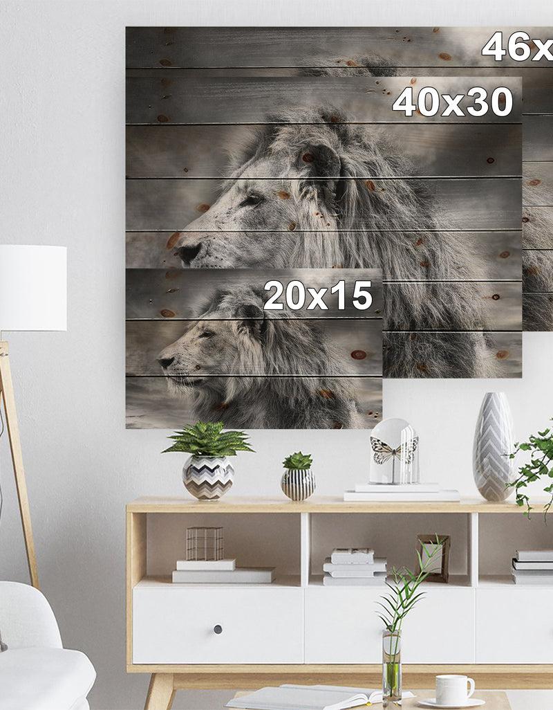 Designq Grey Wild African Lion - Animal Print On Natural Pine Wood