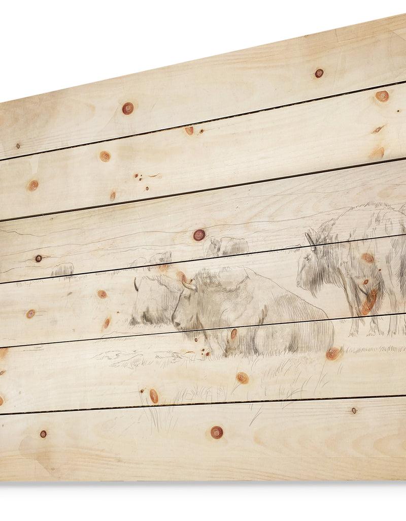 Designq Herd Of Wild Bison Sketch - Farmhouse Animal Painting Print On Natural Pine Wood