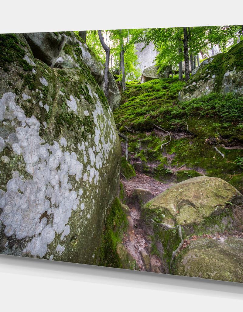 Designq Large Rocks In Deep Moss Forest - Landscape Art Print Canvas
