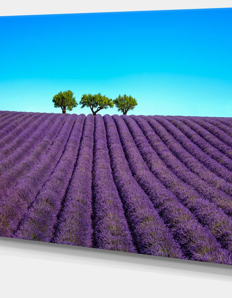 Designq Lavender Flowers And Uphill Green Trees - Oversized Landscape Wall Art Print