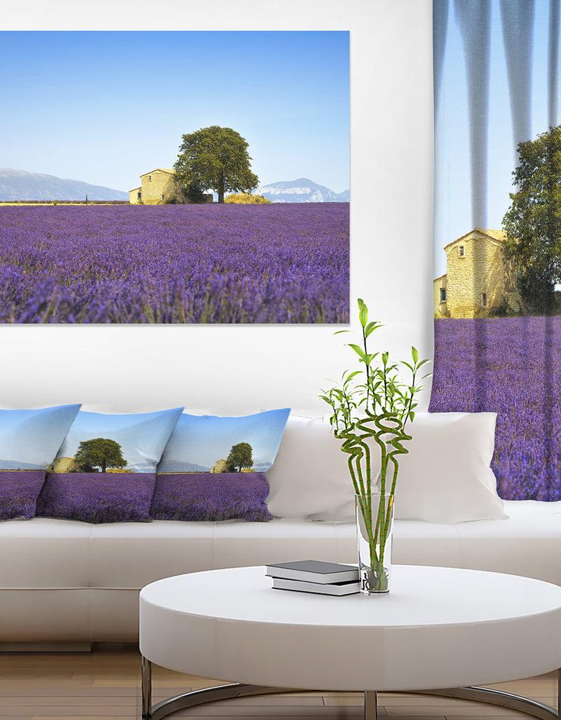 designq Lavender Flowers Blooming Field - Oversized Landscape Wall Art Print