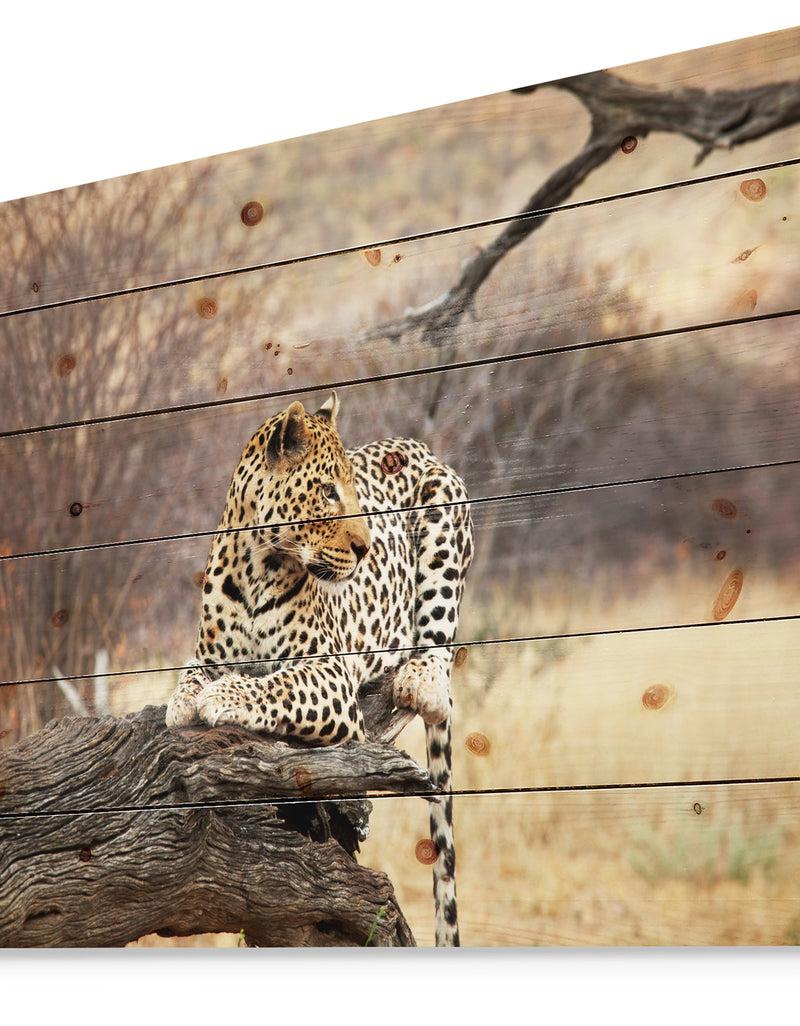Designq Leopard Sitting On Tree Trunk - African Print On Natural Pine Wood