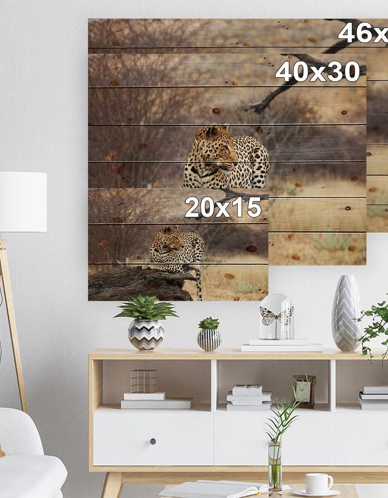 Designq Leopard Sitting On Tree Trunk - African Print On Natural Pine Wood