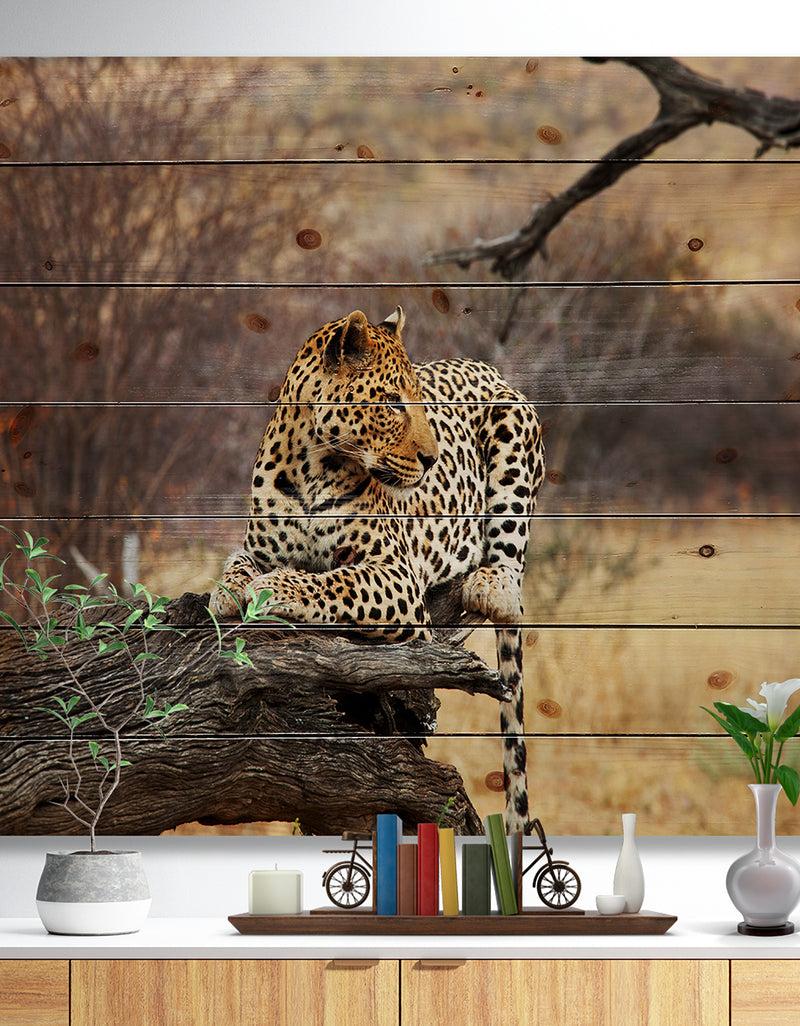 designq Leopard Sitting on Tree Trunk - African Print on Natural Pine Wood