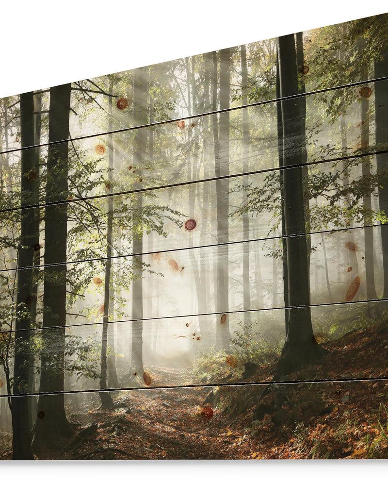 Designq Light In Dense Fall Forest With Fog - Landscape Print On Natural Pine Wood