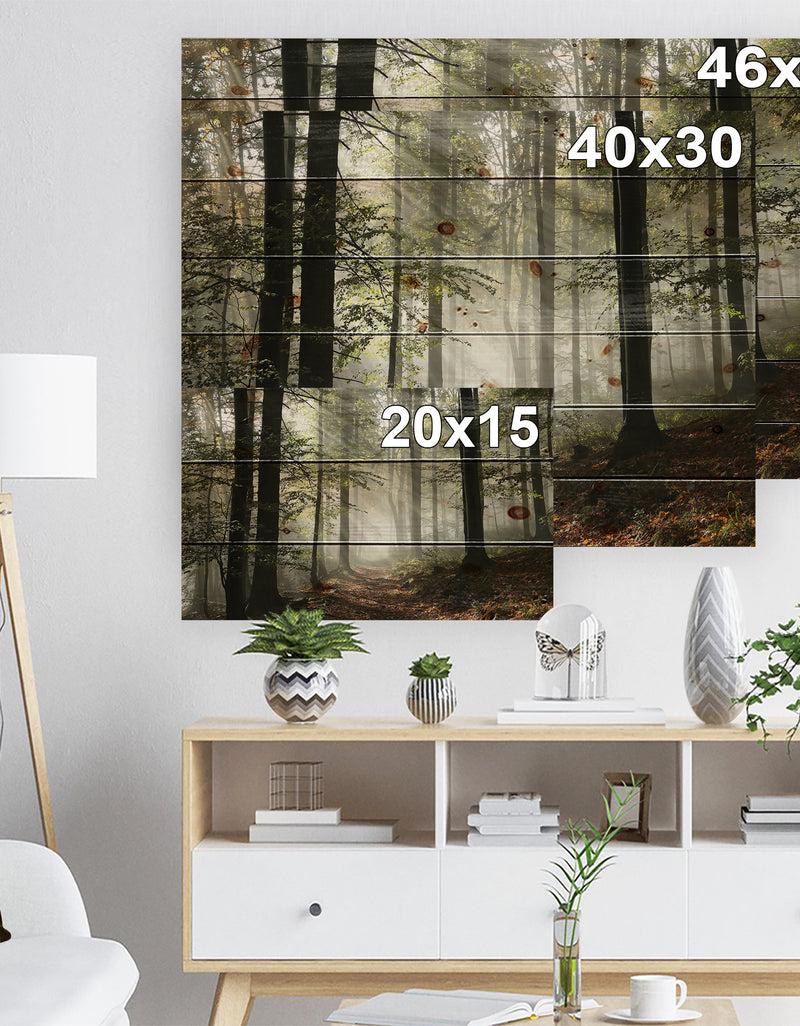 Designq Light In Dense Fall Forest With Fog - Landscape Print On Natural Pine Wood