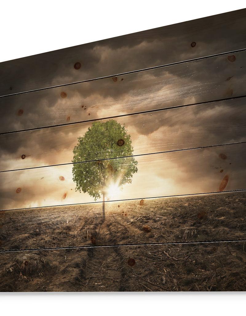 Designq Lonely Tree Under Dramatic Sky - Wall Art Landscape Print On Natural Pine Wood