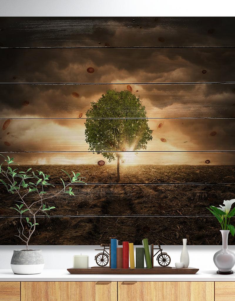designq Lonely Tree under Dramatic Sky - Wall Art Landscape Print on Natural Pine Wood