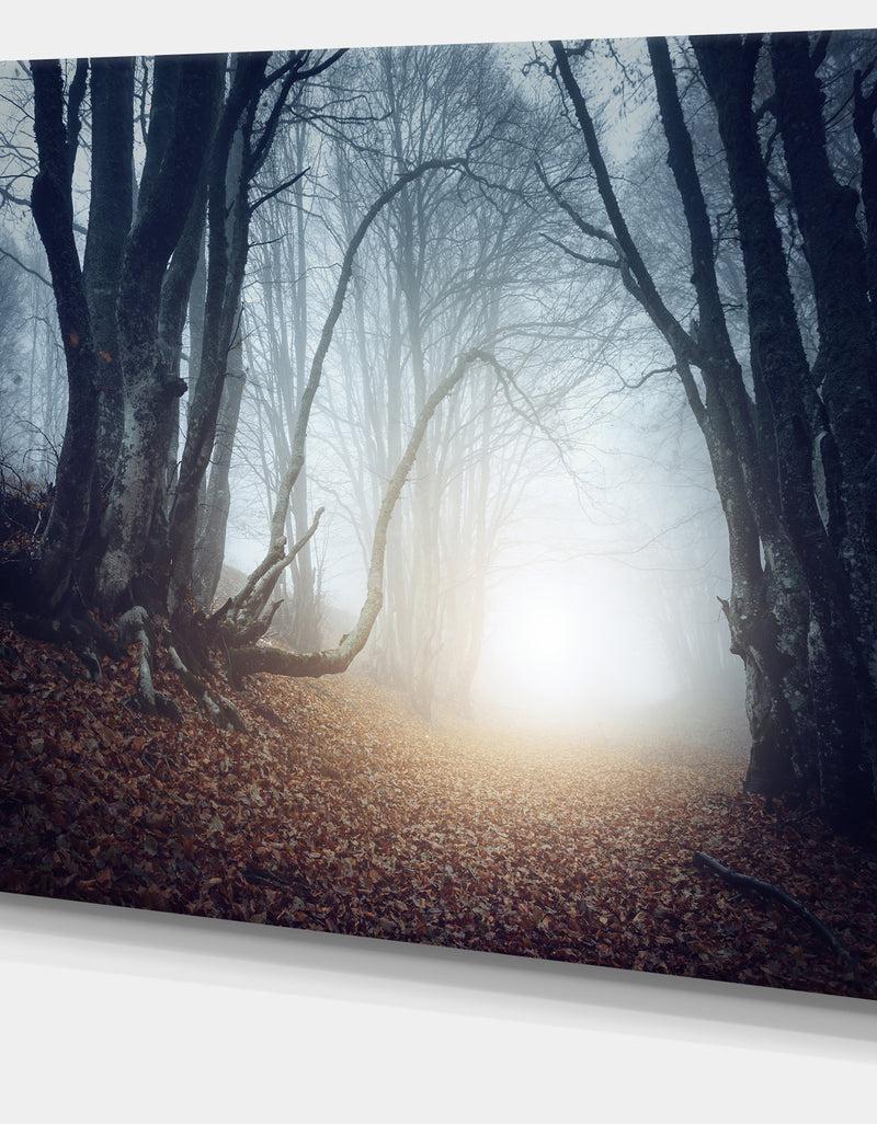 Designq Magical Trees In Mysterious Forest - Modern Forest Canvas Wall Art