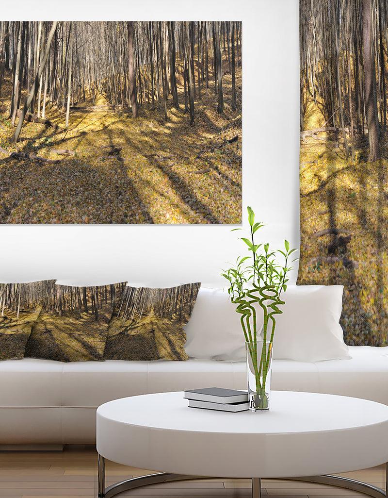 designq Majestic Autumn Forest Panorama - Landscape Artwork Canvas