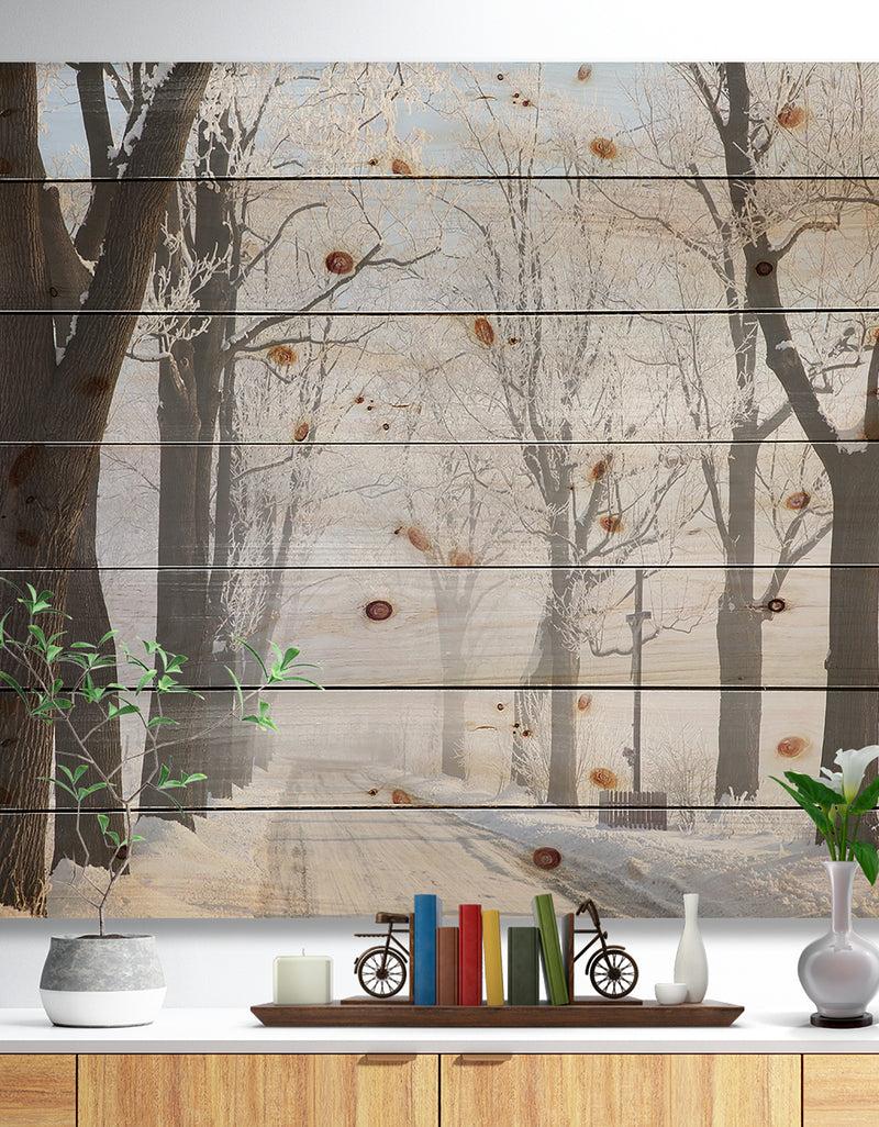 designq Misty Rural Road in Winter Forest - Forest Print on Natural Pine Wood