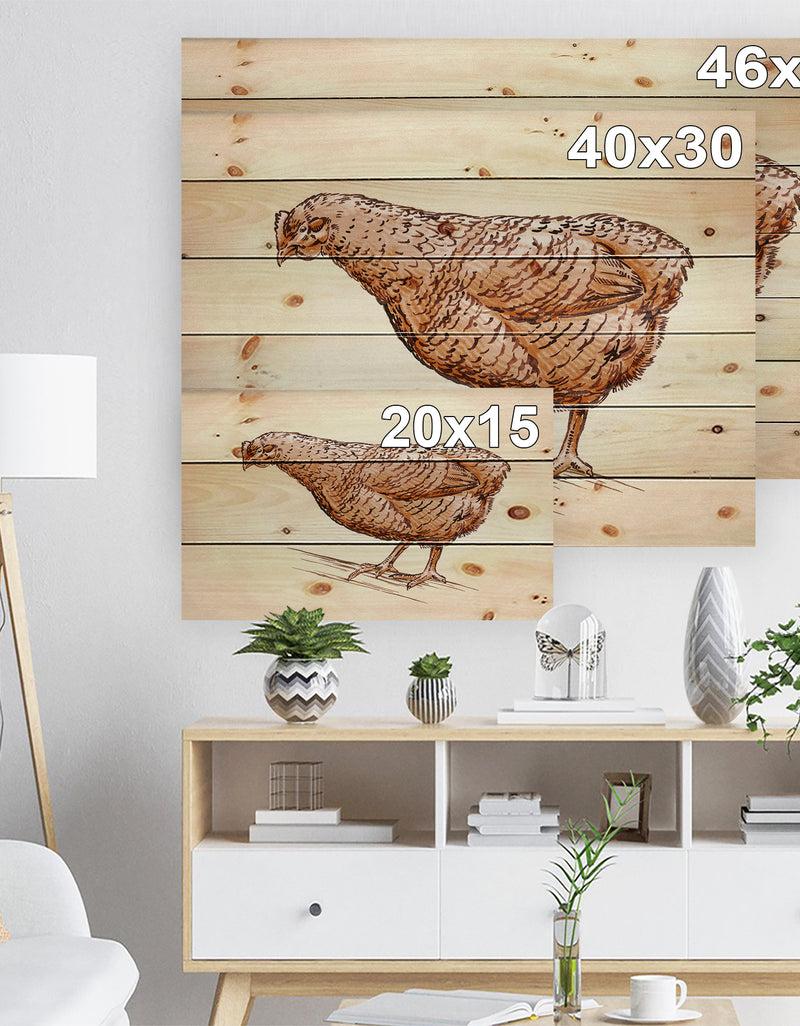 Designq Mother Hen In Engrave Ink Draw - Farmhouse Animal Painting Print On Natural Pine Wood